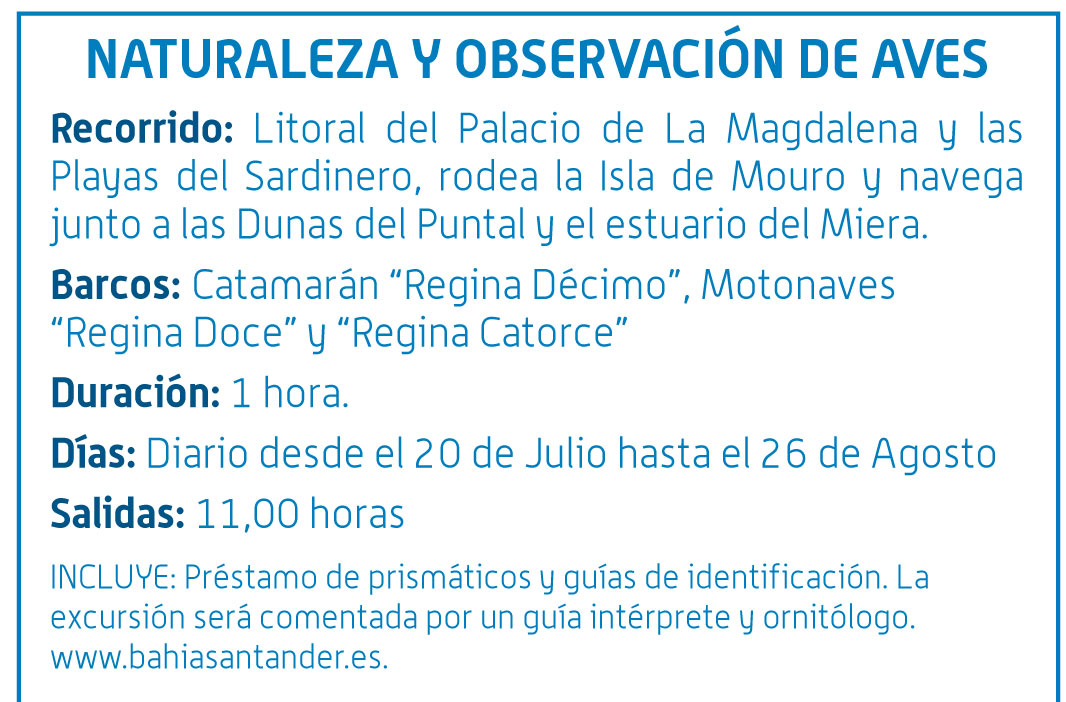 ruta-rio-vision-del-mundo-submariono