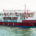 barco los Reginas