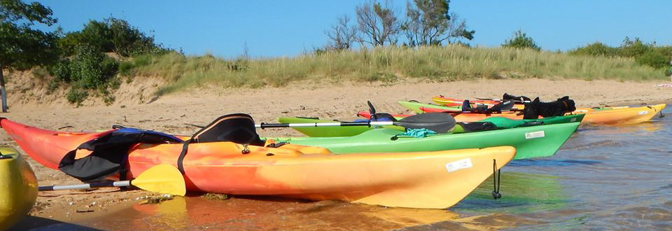 kayaks